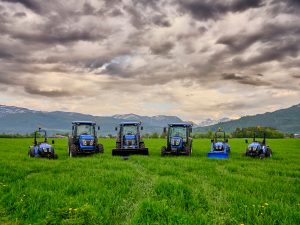 Bilde av Bildegalleri