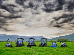 Bilde av Bildegalleri