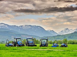 Bilde av Bildegalleri