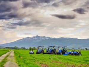 Bilde av Bildegalleri